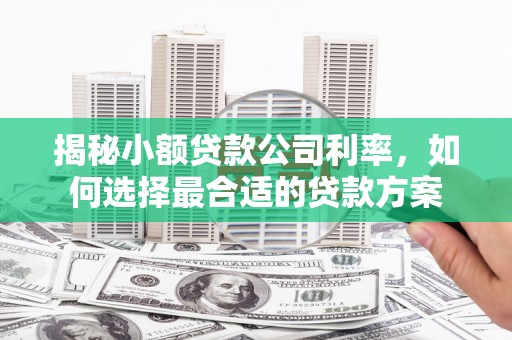 龙岗揭秘小额贷款公司利率，如何选择最合适的贷款方案