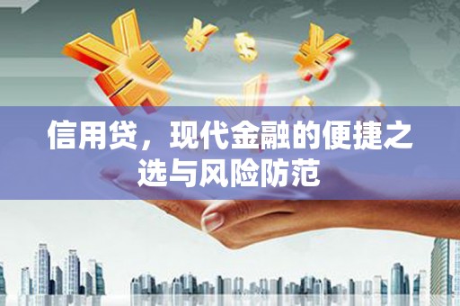 龙岗信用贷，现代金融的便捷之选与风险防范