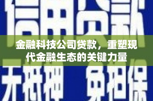 龙岗金融科技公司贷款，重塑现代金融生态的关键力量