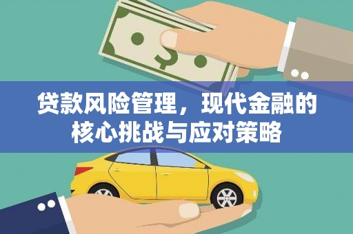 龙岗贷款风险管理，现代金融的核心挑战与应对策略