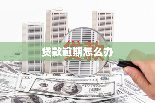 龙岗贷款逾期怎么办