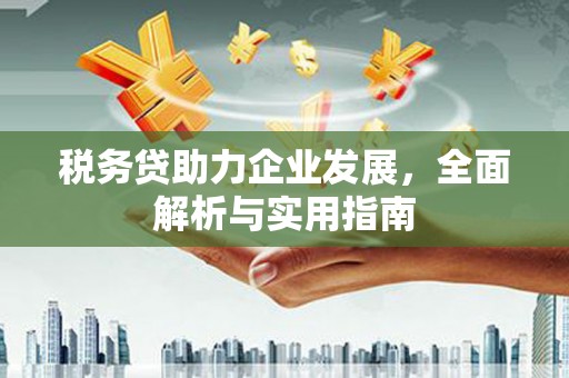 龙岗税务贷助力企业发展，全面解析与实用指南