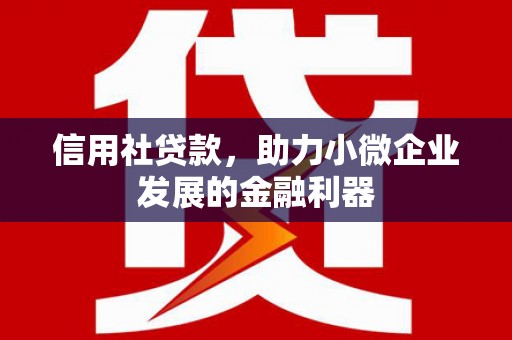 龙岗信用社贷款，助力小微企业发展的金融利器