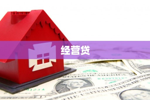 龙岗经营贷