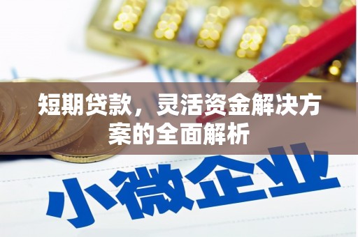 龙岗短期贷款，灵活资金解决方案的全面解析