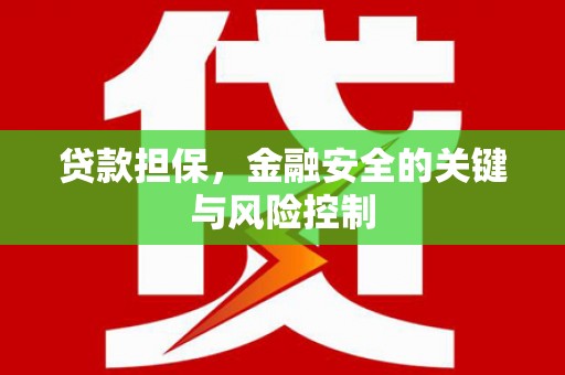龙岗贷款担保，金融安全的关键与风险控制