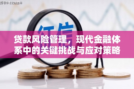 龙岗贷款风险管理，现代金融体系中的关键挑战与应对策略