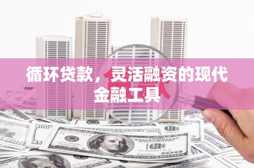 龙岗循环贷款，灵活融资的现代金融工具