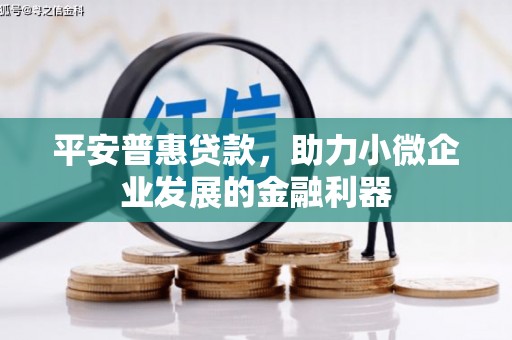 龙岗平安普惠贷款，助力小微企业发展的金融利器