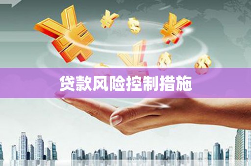 龙岗贷款风险控制措施