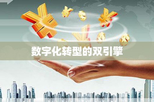 龙岗数字化转型的双引擎