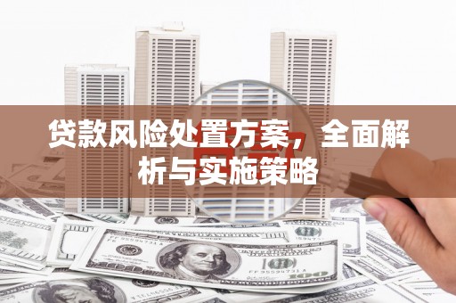 龙岗贷款风险处置方案，全面解析与实施策略