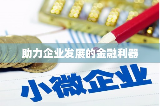 龙岗助力企业发展的金融利器