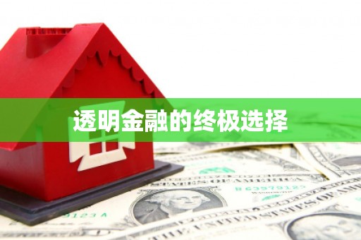 龙岗透明金融的终极选择
