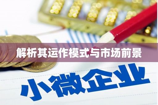 龙岗解析其运作模式与市场前景
