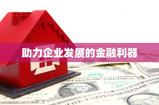 龙岗助力企业发展的金融利器