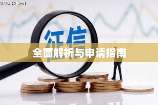 龙岗全面解析与申请指南
