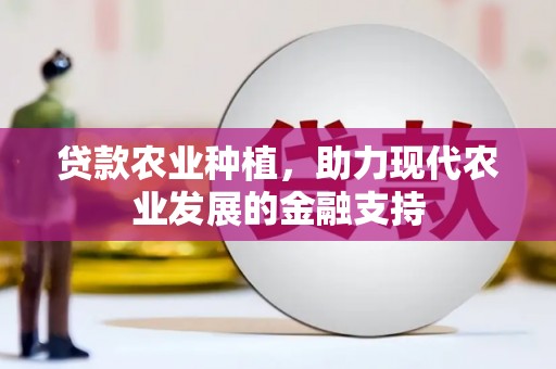 龙岗贷款农业种植，助力现代农业发展的金融支持
